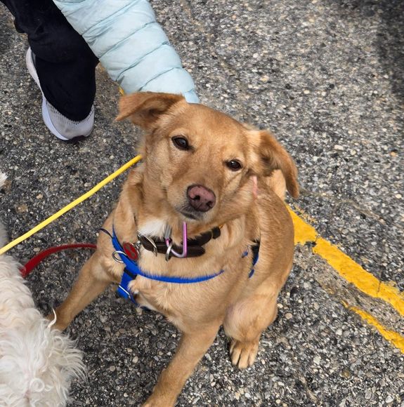 What training methods do you use?