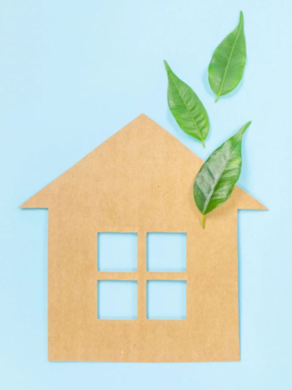 Eco-Friendly Cleaning Services