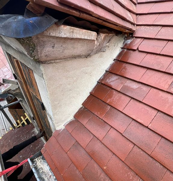 Nettoyage démoussage