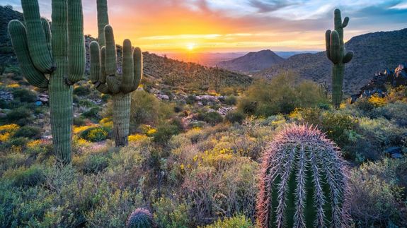 Expert Dryer Vent and Bathroom Exhaust Fan Cleaning Services in Phoenix, AZ