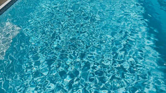 Swimming Pool Near Palm Tree