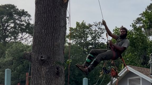 Transform Your Trees, Transform Your Space in Jacksonville