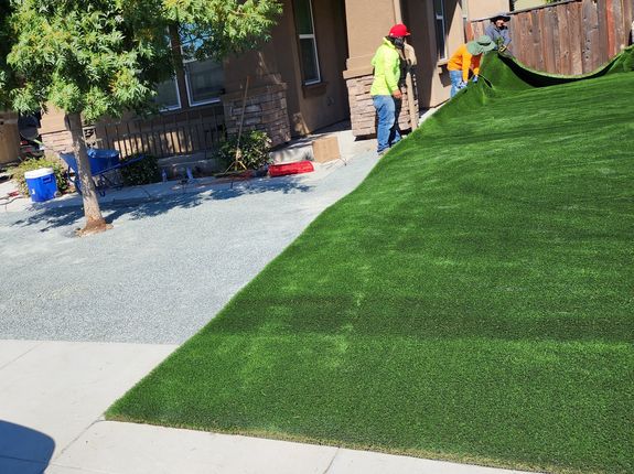 Turf Installation