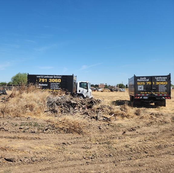 Comprehensive Services