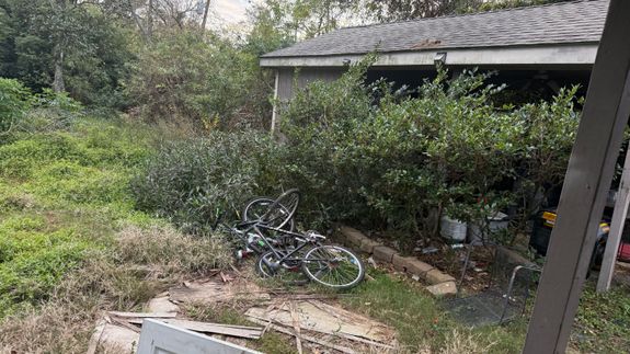 For Business and homeowners who crave a clean yard.