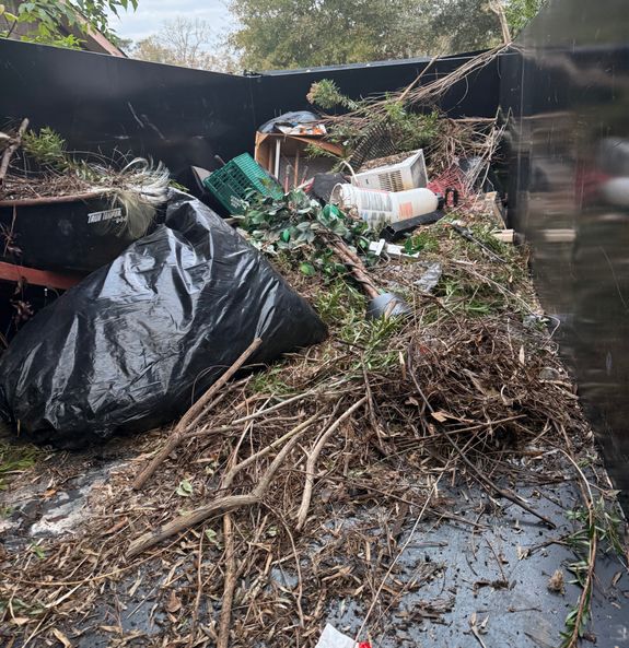 Transform Your Space with Oscar Lawn Services