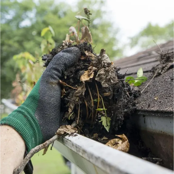 Seasonal Cleanup