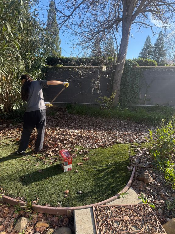 Yard Waste & Outdoor Debris Removal in Sacramento