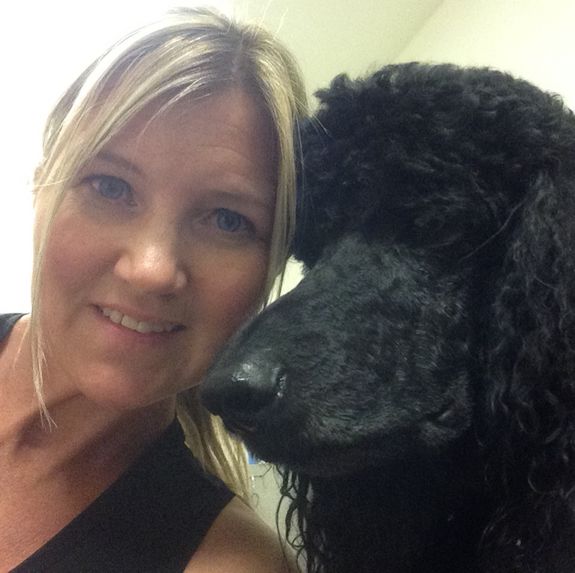 TIFFANY'S PAMPERED      POOCH                                 Mobile Dog Grooming Services in Vail, AZ