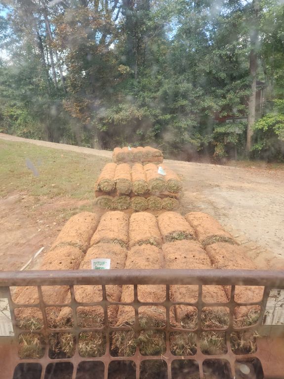 SOD and Seeding Services