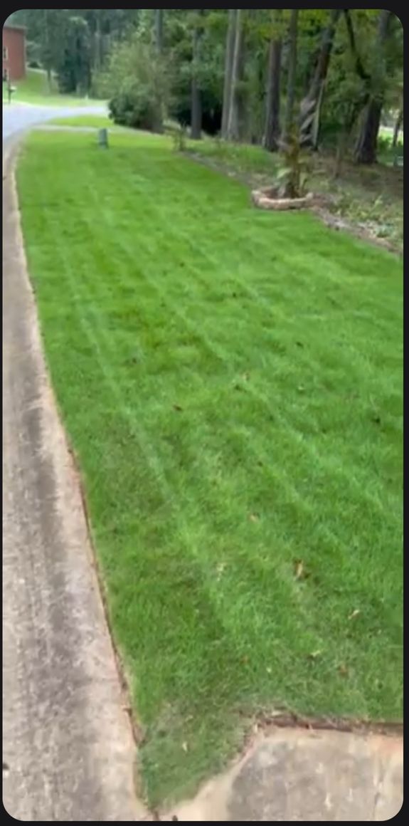 Can you help with ongoing lawn care after installation?