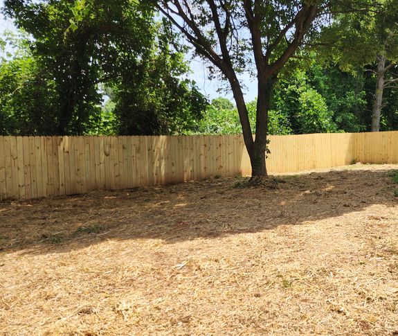 How long does it take for sod or seed to establish?