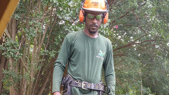 Tree Care That Transforms Your Outdoors