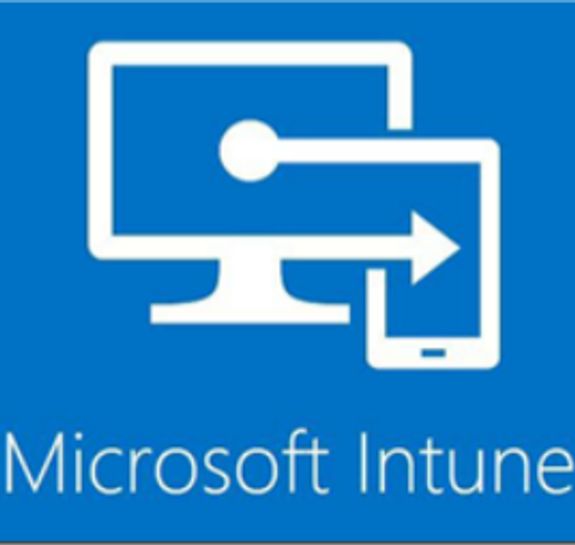 Intune Management