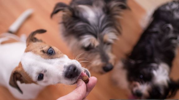 silver iMac near iPhone on brown wooden table