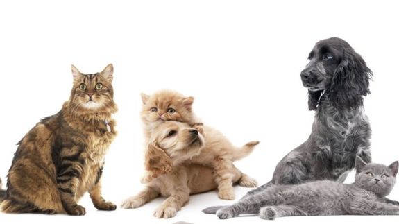 Crop unrecognizable coworkers in formal wear standing at table with laptop and documents while greeting each other before meeting
