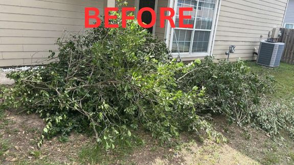 Clear the Clutter, Enjoy Your Yard in Houston.