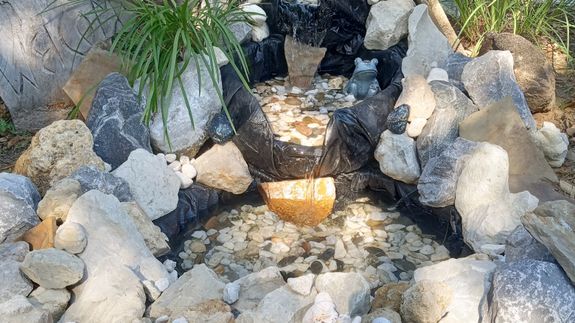 Transform Your Yard, Transform Your Life in Panama City Beach