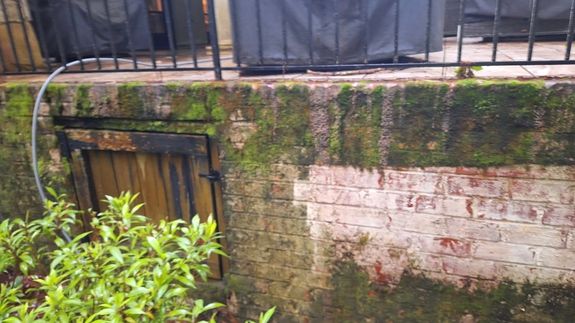 Make Your Brick and Concrete Shine in Rock Hill