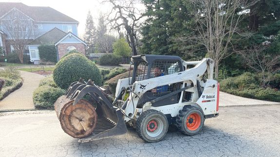 Professional Tree Service in Granite Bay, CA