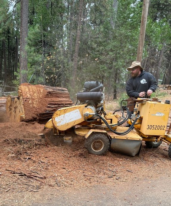 Comprehensive Services for Every Need