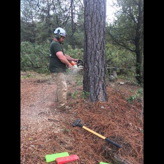 Customer Satisfaction