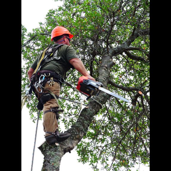 Safety is Our Priority