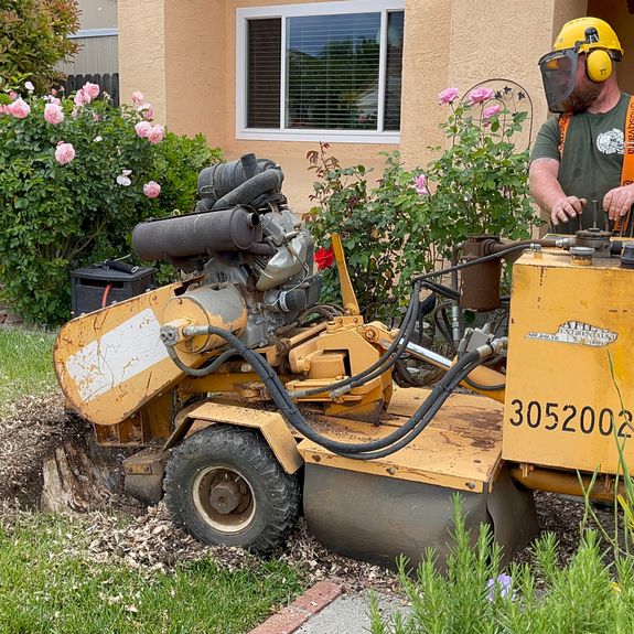 Stump Grinding