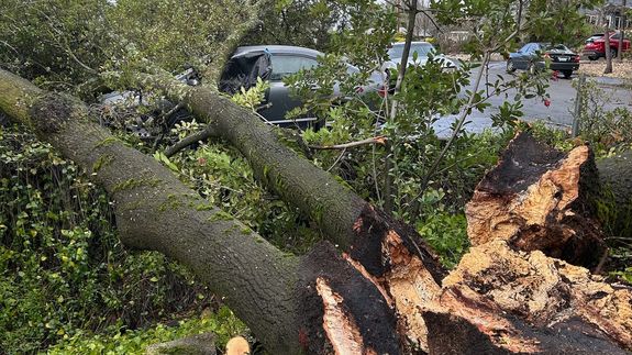 Restore Your Peace of Mind After Storm Damage