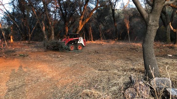 Transform your lot into a pristine paradise in Shingle Springs.