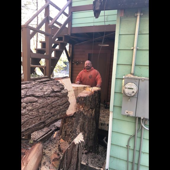 Hazardous Tree Removal