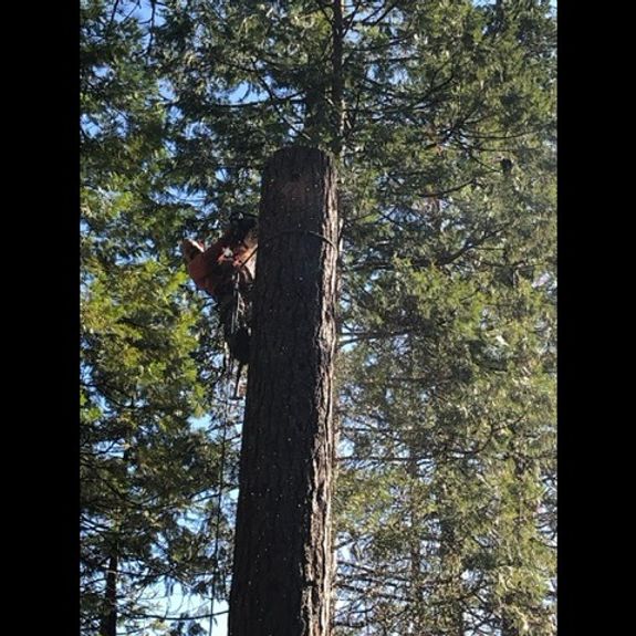 Expertise You Can Trust