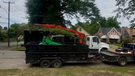 Expert Tree Care in Memphis, TN - Keeping Your Property Safe and Beautiful