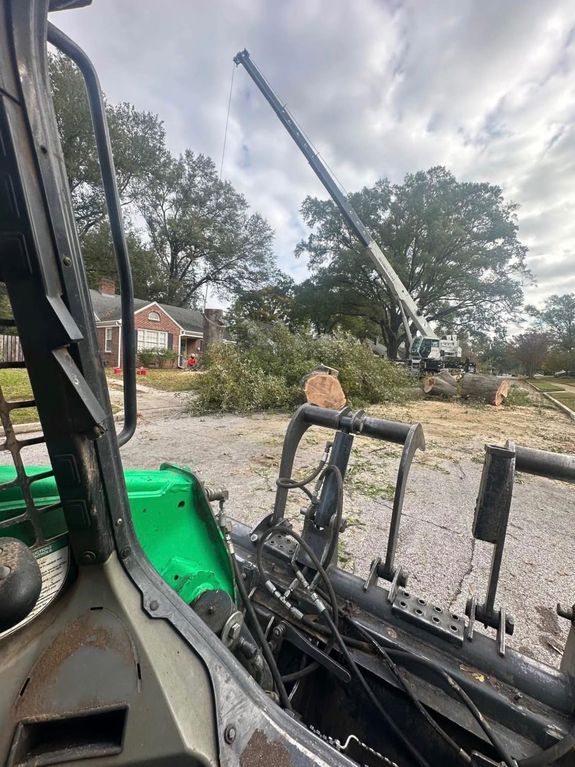 Fully Licensed and Insured
