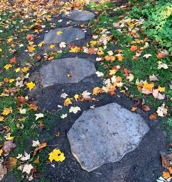 Custom Solutions for Every Budget