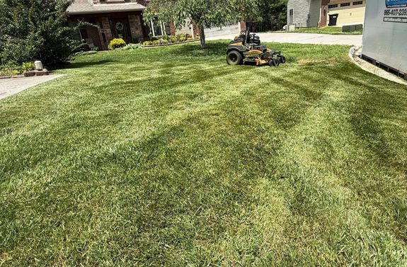 Transform Your Lawn with ProGro Environmental Services in Temple, GA