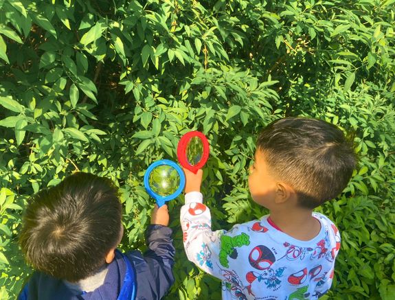 Outdoor Play Time