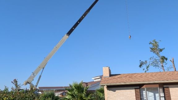 Safeguard Your Property with Expert Tree Removals in Alamogordo