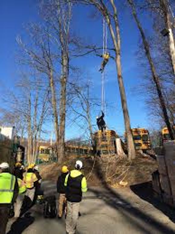 Professional Safety Standards