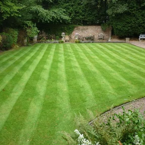 Do you clean up after the hedge trimming service?