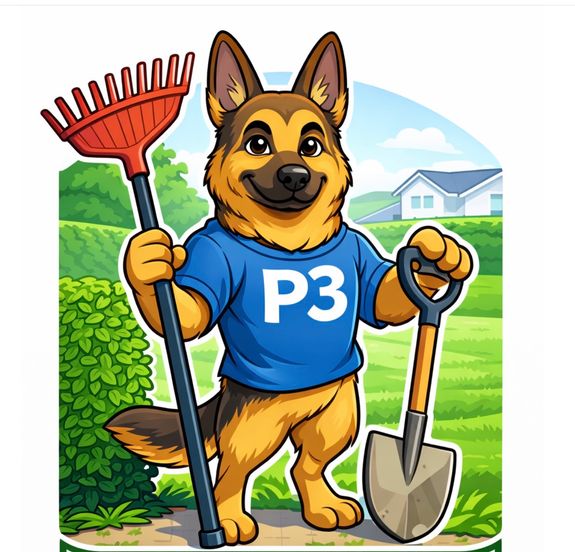 Professional Landscaping Services