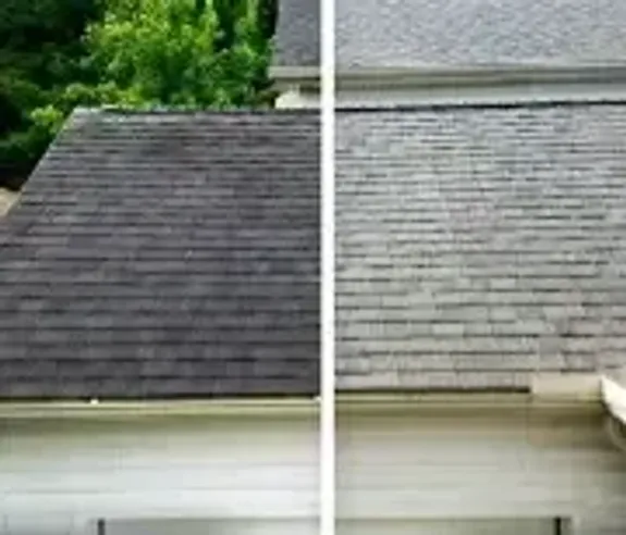 House and Roof Washing