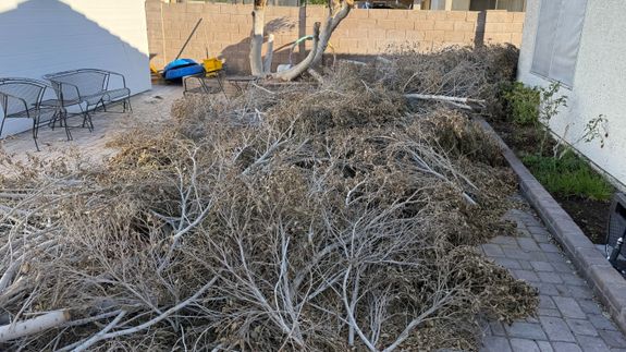 Transform Your Space with Angulo's Junk Removal